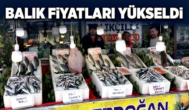 Balık fiyatları yükseldi