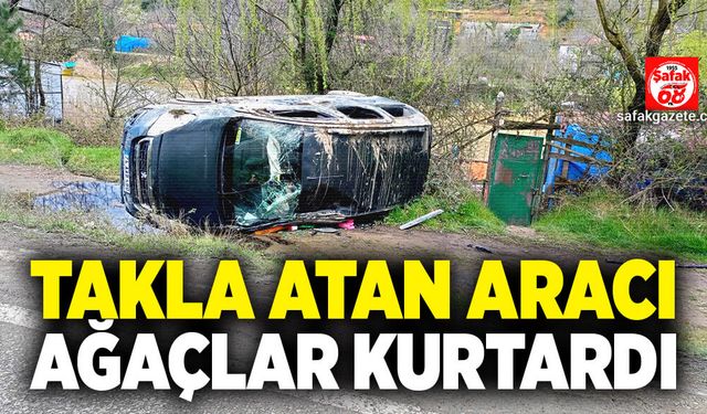 Takla atana araç ağaçlar kurtardı!