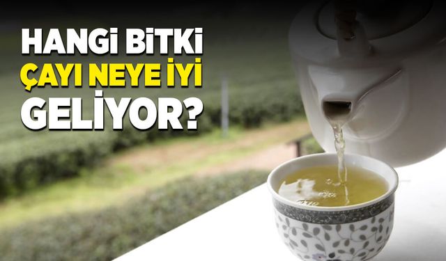 Hangi bitki çayı neye iyi geliyor?