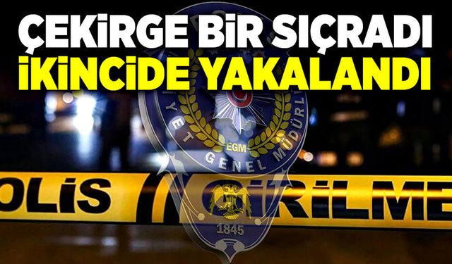 Çekirge bir sıçradı ikincide yakalandı