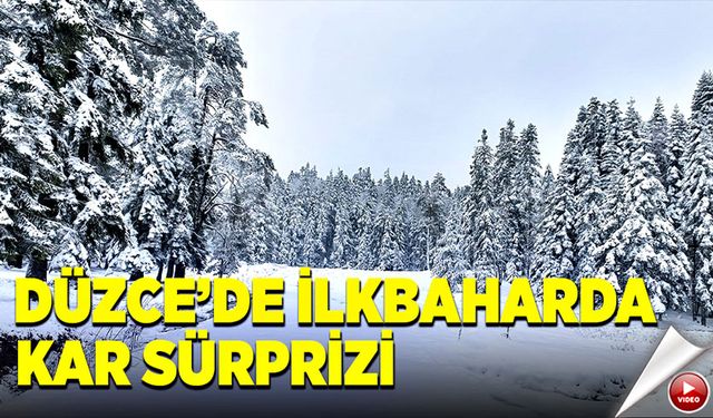 Düzce'de ilkbaharda kar sürprizi