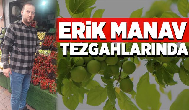 Erik manav tezgahlarında yerini aldı