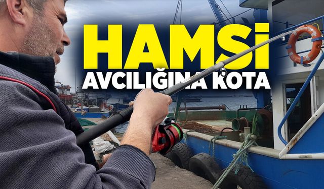 Hamsi avcılığına kota