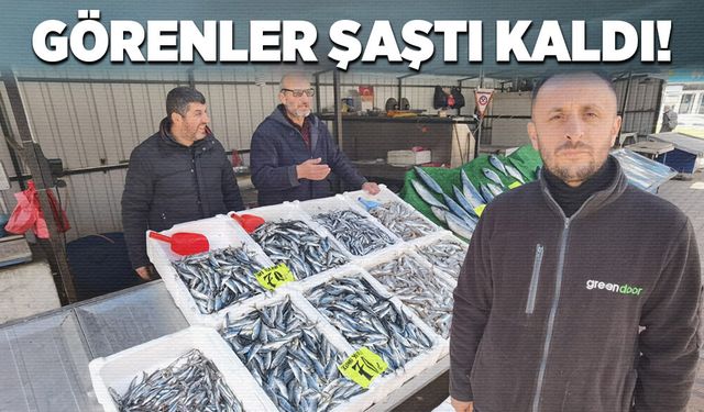 Görenler şaştı kaldı!