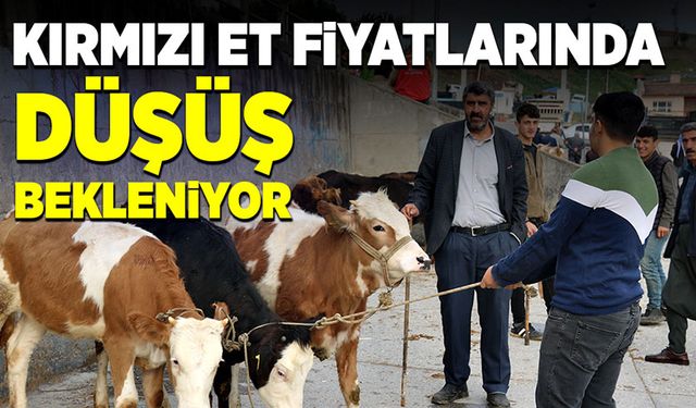 Kırmızı et fiyatlarında düşüş bekleniyor