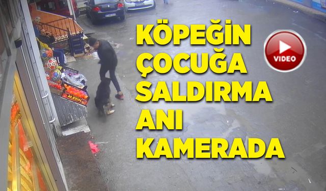 Köpeğin çocuğa saldırma anı kamerada