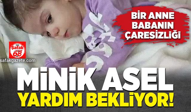 Bir anne ve babanın çaresizliği! Eylül Asel yardım bekliyor!