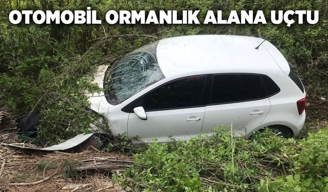 Otomobil ormanlık alana uçtu