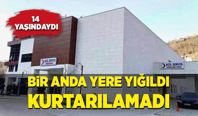  Bir anda yere yığıldı, kurtarılamadı!