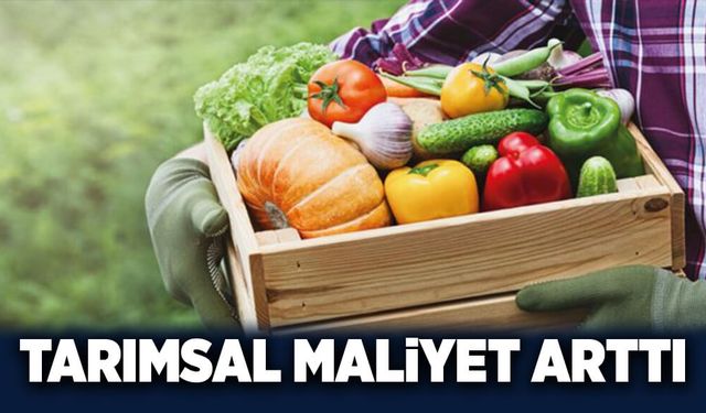 Tarımsal maliyet arttı