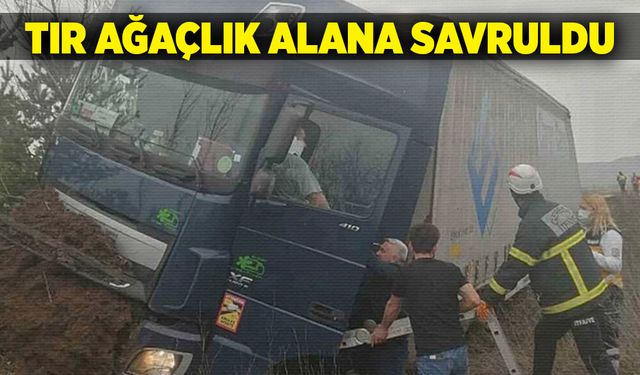 TIR ağaçlık alana savruldu