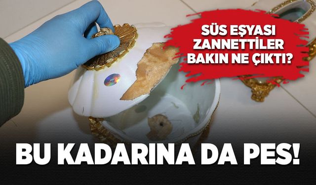 Bu kadarına da pes! Süs eşyası zannettiler bakın ne çıktı?