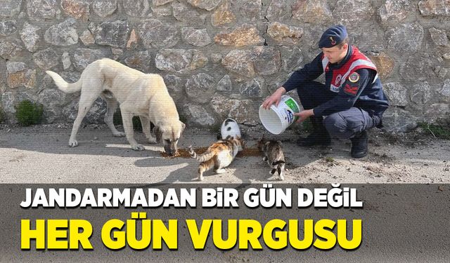 Jandarmadan bir gün değil her gün vurgusu