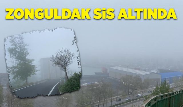 Zonguldak sis altında