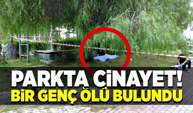 Parkta 25 yaşında bir genç başından vurulmuş halde bulundu!