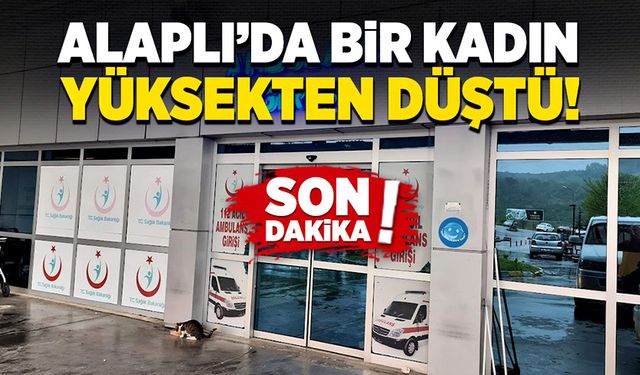 Alaplı'da bir kadın yüksekten düştü!