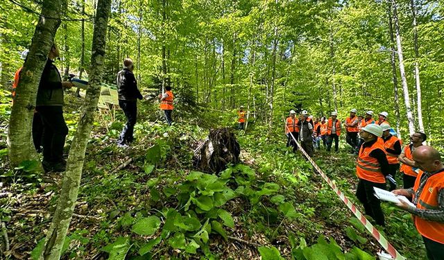 Bolu Gölyaka’da silvikültür eğitim tatbikatı yapıldı