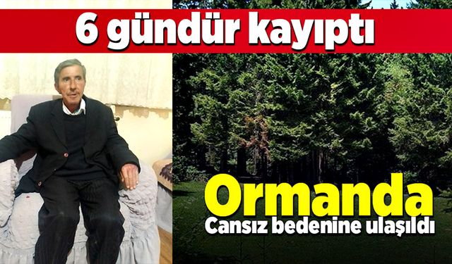 6 gündür kayıptı, ormanlık alanda cansız bedenine ulaşıldı!