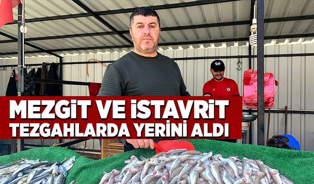 Zonguldak’ta mezgit ve istavrit tezgahlarda yerini aldı