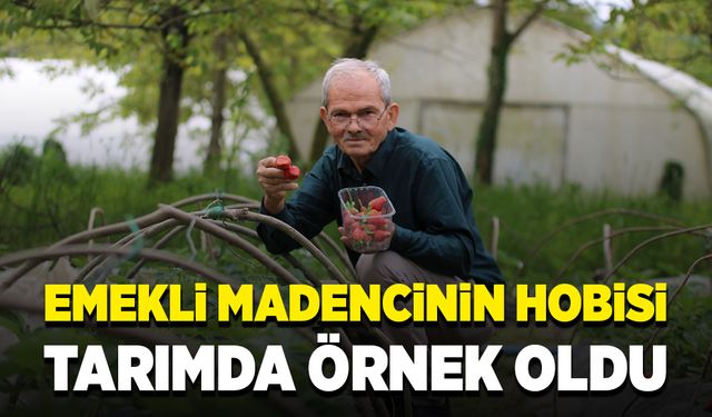 Emekli madencinin hobisi tarımda örnek oldu