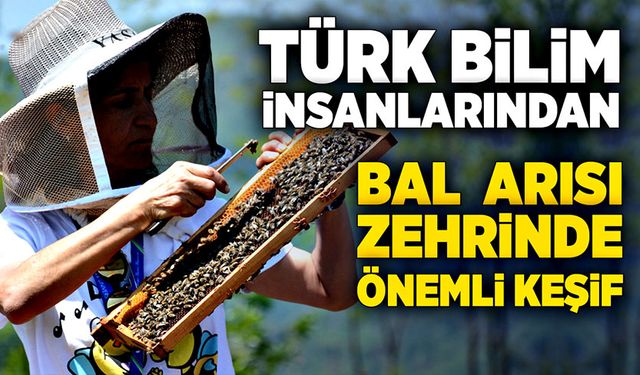 Türk bilim insanlarından bal arısı zehrinde önemli keşif