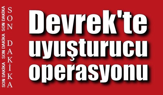 Devrek'te uyuşturucu operasyonu: 2 gözaltı