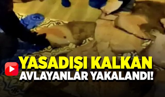 Sahil güvenlik yasadışı kalkan avlayan vatandaşları yakaladı