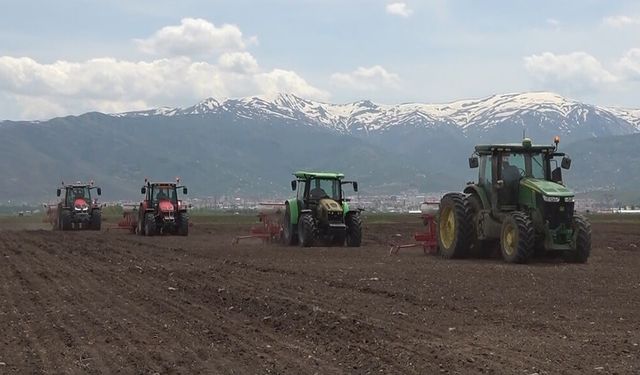 Muş tarımda şaha kalktı, şeker pancarında ihracat dönemi başladı