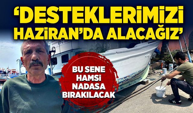 Hamsi nadasa bırakılacak! ‘Desteklerimizi Haziran’da alacağız’