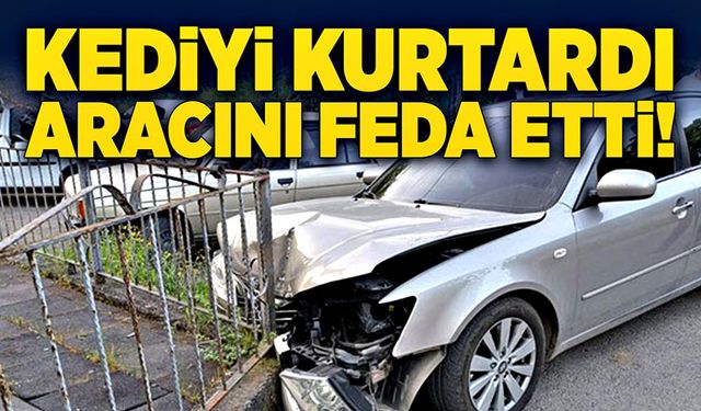 Ereğli'de kaza yapan sürücü, kediyi kurtardı aracını feda etti!