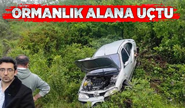 Ormanlık alana uçtu