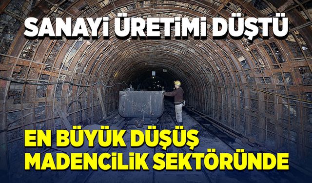 Sanayi üretimi düştü en büyük düşüş madencilik sektöründe