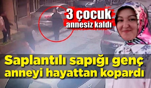 Saplantılı sapığı genç anneyi hayattan kopardı; 3 çocuk annesiz kaldı