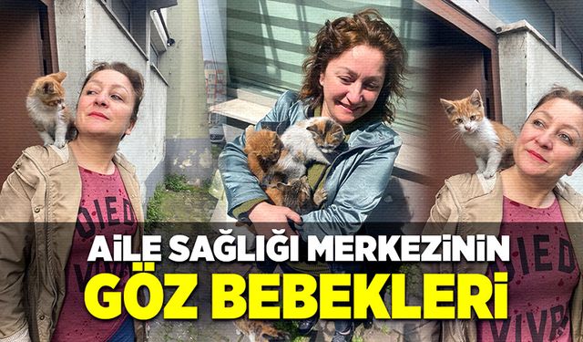 Kedicikleri beslemek için çocuklar başta olmak üzere her gün gelenler var