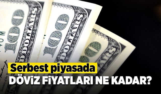 Serbest piyasada döviz fiyatları ne kadar?