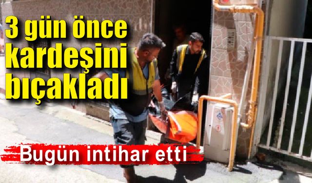 Aile kavgası intihara sürükledi; Kardeşini bıçaklayıp intihar etti