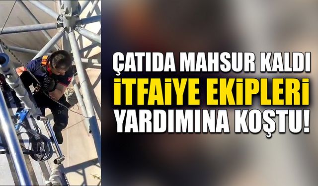 Çatıda mahsur kalınca yardımına itfaiye ekipleri koştu