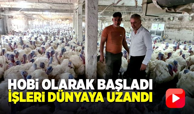 Hobi olarak başladı işleri dünyaya uzandı