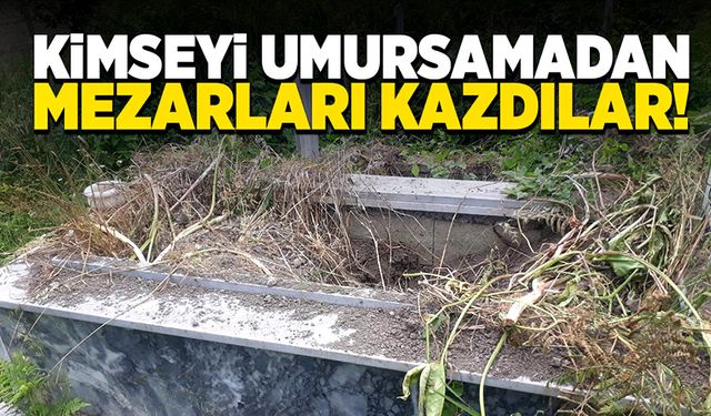 Kimseyi umursamadan mezarları kazdılar!