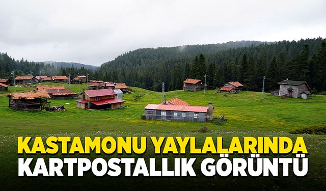 Kastamonu yaylaları ziyaretçilerini bekliyor