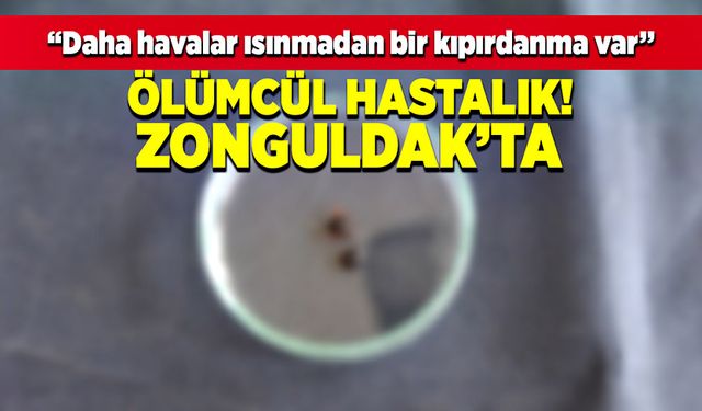 Ölümcül hastalık Zonguldak'ta “Daha havalar ısınmadan bir kıpırdanma var”