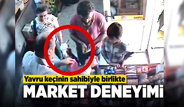 Yavru keçinin sahibiyle birlikte market alışverişi gündem oldu