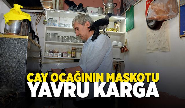 Çay ocağının maskotu olduktan sonra insanların bakış açısı değişti