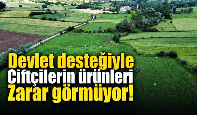 Devlet desteğiyle çiftçilerin ürünlerinin hasar görmesi önleniyor