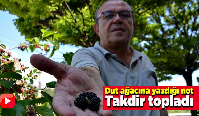 Dut ağacına yazdığı not takdir topladı