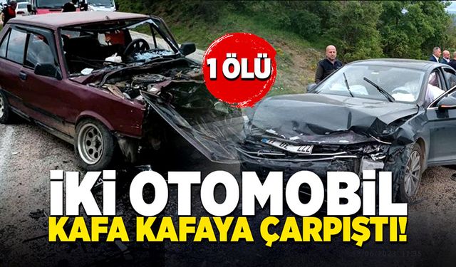 İki otomobilin kafa kafaya çarpışmasıyla 1 kişi hayatını kaybetti!