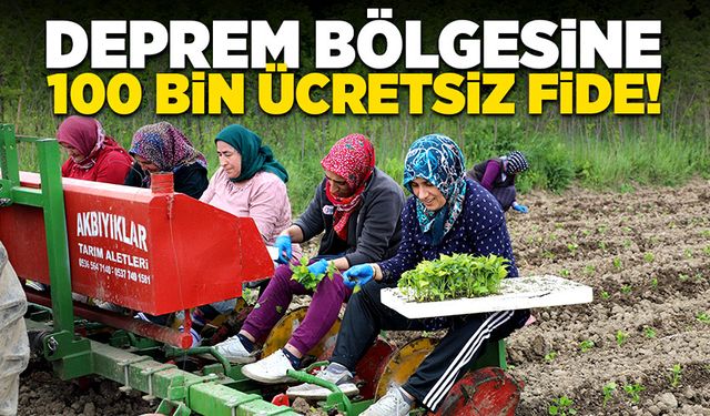 Deprem bölgesine 100 bin ücretsiz fide!