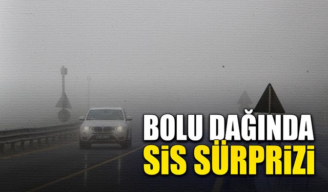 Bolu Dağı'nda hafif bir yağışla birlikte yoğun sis oluştu