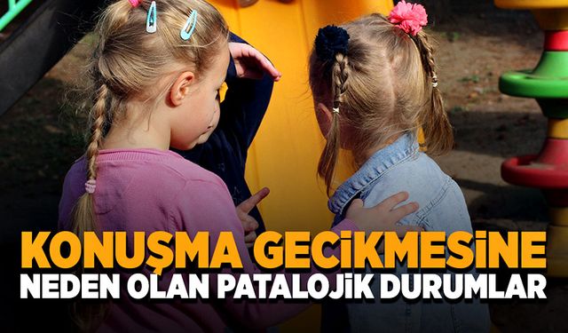 Konuşma gecikmesine neden olan patolojik durumlar