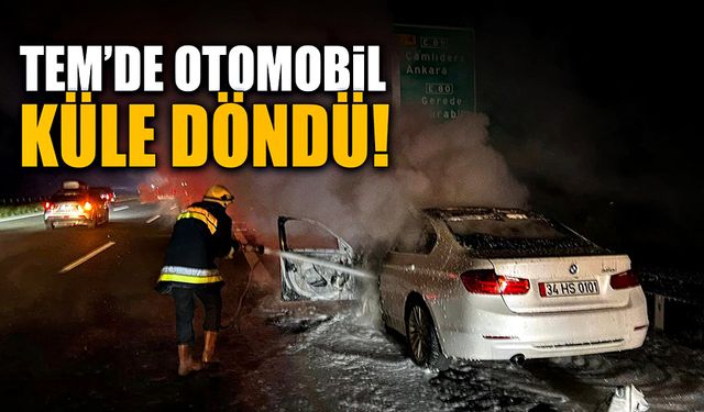 Tem Otoyolu Bolu geçişinde otomobil küle döndü!